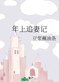 年上追妻记
