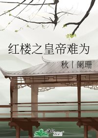 紅樓之皇帝難為