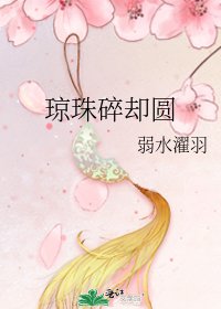 琼珠碎却圆